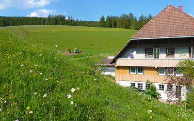 Vöhrenbach 100