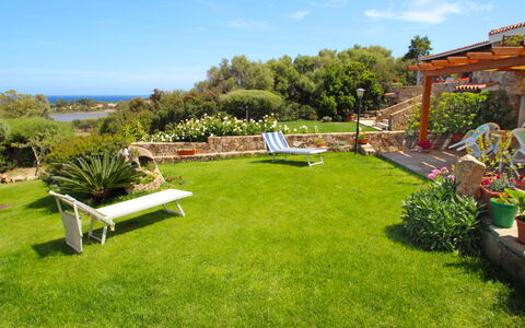 Viola: Property, Lawn, Grass, Garden, Yard, Backyard, Real Estate, Land Lot, House, Landscape