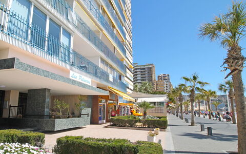 Las Palmeras: Building, Mixed-Use, Property, Condominium, Metropolitan Area, Real Estate, Architecture, Apartment, Commercial Building, Neighbourhood