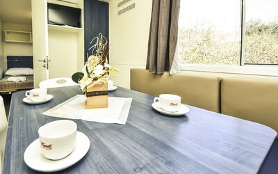 Accommodation:&nbsp;Palma 136.1