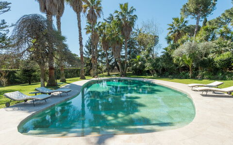 Giulia: Water, Plant, Swimming Pool, Sky, Tree, Arecales, Shade, Outdoor Furniture, Grass, Real Estate