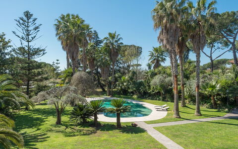 Giulia: Plant, Sky, Plant Community, Natural Landscape, Tree, Terrestrial Plant, Land Lot, Arecales, Grass, Landscape