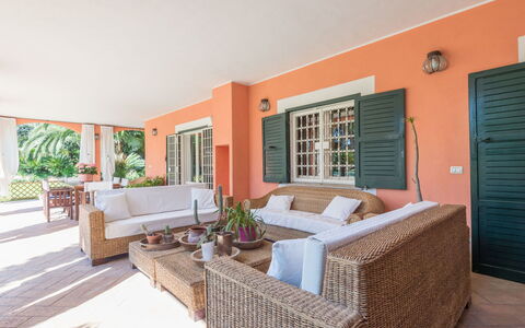 Giulia: Plant, Property, Furniture, Houseplant, Flowerpot, Couch, Wood, Door, Shade, Interior Design