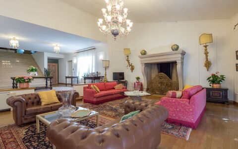 Giulia: Couch, Furniture, Picture Frame, Decoration, Living Room, Interior Design, Floor, Flooring, Studio Couch, Plant