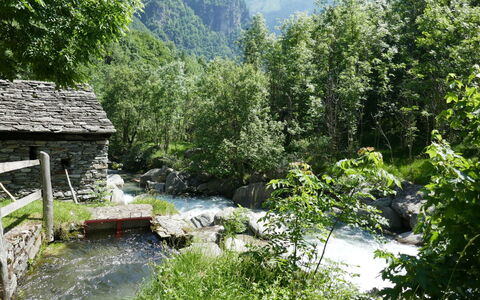 Rustico Nurell: Natural Landscape, Water Resources, Nature, Water, Vegetation, Nature Reserve, Watercourse, River, Riparian Zone, Wilderness