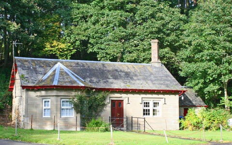 Craigton Cottage: Plant, Building, Window, Tree, House, Land Lot, Cottage, Residential Area, Real Estate, Landscape