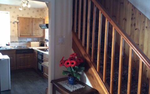 Wester Riechip: Flower, Property, Cabinetry, Furniture, Countertop, Interior Design, Wood, Lighting, Plant, Table