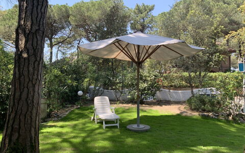 Casa delle Palme: Plant, Property, Plant Community, Umbrella, Tree, Shade, Outdoor Furniture, Sky, Grass, Outdoor Table