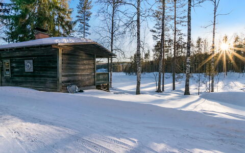 Saarijärvi: Wood, Cottage, Log Cabin, Forest, Shed, Garden Buildings, Larch, Woodland, Wood Stain