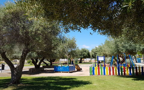 Jorge Comin: Tree, Public Space, Sky, Grass, Park, Woody Plant, Recreation, Spring, Architecture, Leisure