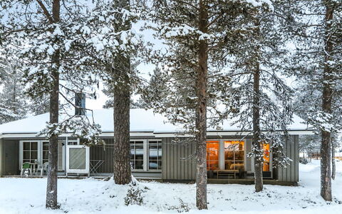 Riekonraito A1: Home, House, Cottage, Winter, Freezing, Twig, Siding, Snow, Woodland