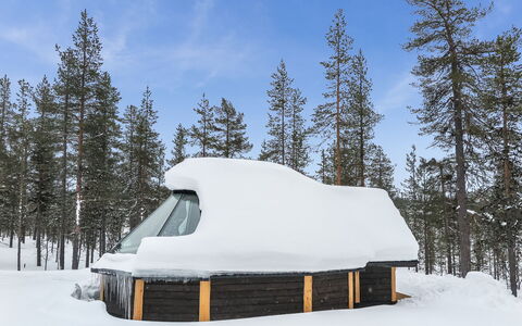 Arctic Light Hut: Snow, Winter, Freezing, Ice, Ice Cap, Frost, Log Cabin
