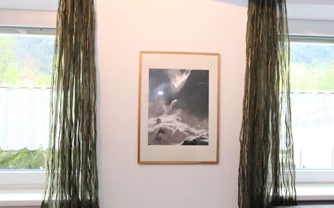 Am Ziller: Plant, Green, Wood, Picture Frame, Branch, Paint, Rectangle, Interior Design, Art, Tree