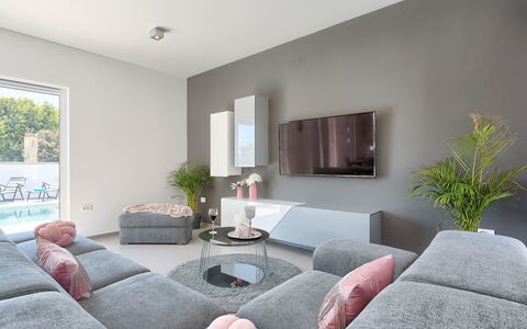 Ella Premantura: Plant, Couch, Property, Furniture, Picture Frame, Window, Comfort, Lighting, Houseplant, Interior Design