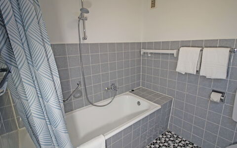 Eifelnatur (Haus 3): Bathtub, Plumbing Fixture, Property, Building, Bathroom, Shower, Interior Design, Shower Head, Flooring