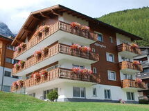 Alpenfirn