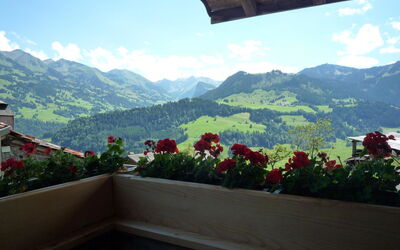 Ferienhaus Niesen View