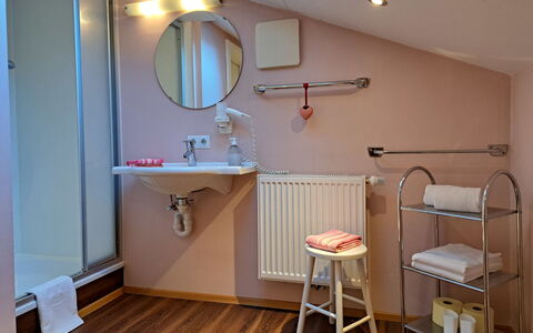 Wegscheider: Mirror, Tap, Sink, Plumbing Fixture, Bathroom, Bathroom Sink, Wood, Interior Design, Floor