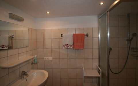 Margit: Property, Sink, Plumbing Fixture, Tap, Bathroom Sink, Bathroom, Building, Shower, Mirror
