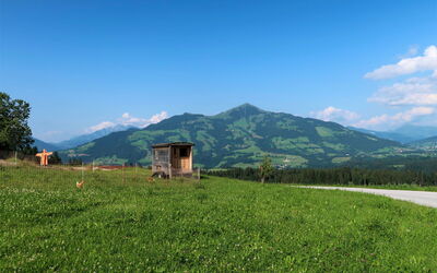 Entalhof