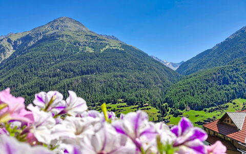 Alpenblick: Mountain, Mountainous Landforms, Flower, Hill, Mountain Range, Highland, Hill Station, Landscape, Valley, Ridge