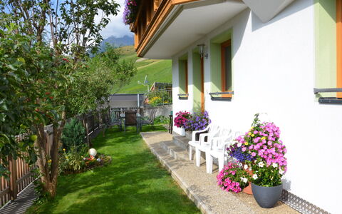 Schranz: Plant, Building, Flower, Flowerpot, Houseplant, House, Botany, Sky, Neighbourhood, Cottage
