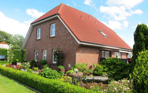 Rosenboom: Plant, Sky, Cloud, Property, Flower, Window, Land Lot, Building, Tree, House