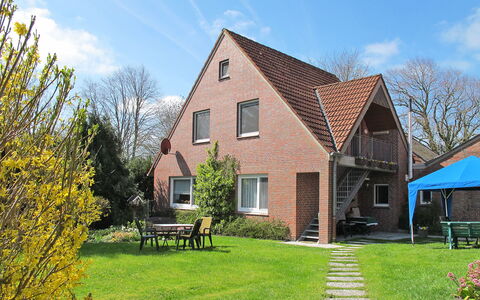 Harms: Plant, Cloud, Sky, Property, Window, Building, House, Tree, Land Lot, Outdoor Bench