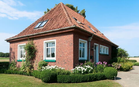 Huuske am Polder: Sky, Plant, Building, Window, Cloud, Property, Flower, House, Land Lot, Cottage