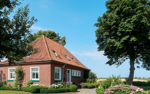 Huuske am Polder: House, Home, Property, Residential Area, Cottage, Estate, Building, Tree, Real Estate, Sky
