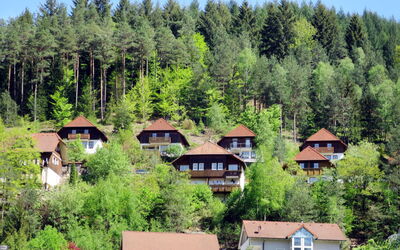 Sonnenschein - Niederwasser, Baden-Württemberg, Germany