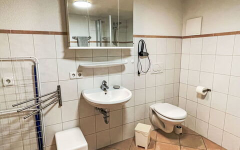 Mühlenmichelshäusle: Plumbing Fixture, Interior Design, Sink, Flooring, Tap, Plumbing, Bathroom Sink, Floor, Room, Bathroom
