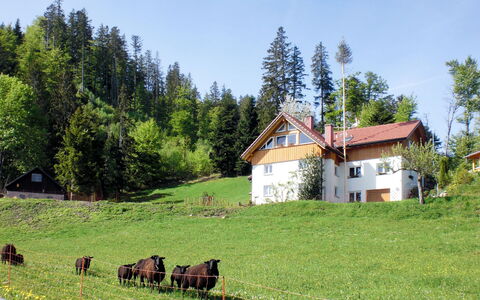 Mühlenmichelshäusle: Pasture, Natural Landscape, Grassland, Property, Natural Environment, Meadow, Farm, Rural Area, Ranch, House