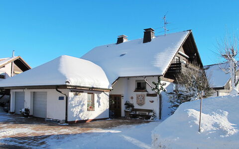 Schleuniger: Sky, Building, Snow, Window, House, Cottage, Plant, Freezing, Siding, Landscape