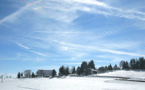 Alpenblick: Sky, Snow, Winter, Cloud, Freezing, Tree, Daytime, Natural Landscape, Ice, Atmosphere