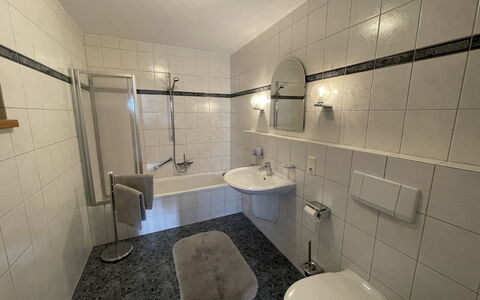 Janik: Plumbing Fixture, Property, Sink, Tap, Bathroom, Shower, Interior Design, Bathroom Sink, Shower Bar