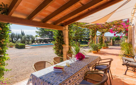 Ses Sitjoles: Plant, Furniture, Property, Chair, Shade, Flowerpot, Outdoor Furniture, Table, Architecture, Interior Design