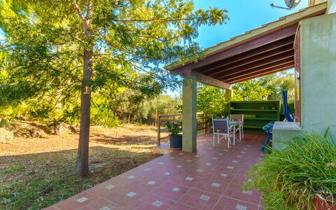 Estrella: Plant, Property, Sky, Table, Leaf, Shade, Chair, Outdoor Furniture, Tree, Wood