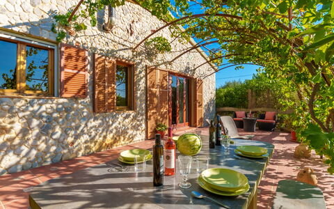 Estrella: Plant, Building, Window, Tableware, Shade, Biome, Leisure, Table, Outdoor Furniture, Landscape