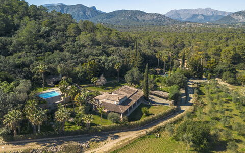 Can Ferre Nou: Tree, Estate, Plantation, Hacienda, Eco Hotel, Farmhouse, Mansion, Villa, Evergreen