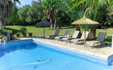 Can Segue: Swimming Pool, Property, Leisure, Backyard, Real Estate, Resort, Sunlounger, Furniture, Outdoor Furniture, Patio