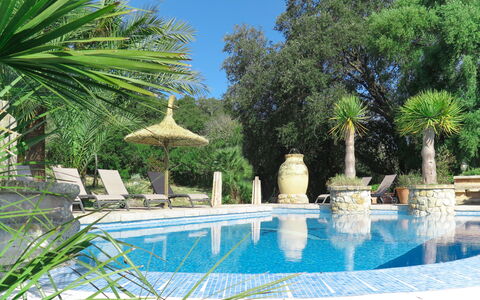 Can Segue: Swimming Pool, Property, Tree, Palm Tree, Real Estate, Majorelle Blue, Vacation, Botany, Arecales, Building