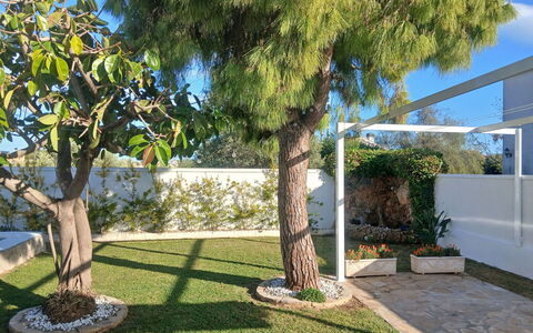 Villa Lolin: Garden, Shade, Woody Plant, Lawn, Landscaping, Yard, Backyard, Flowerpot