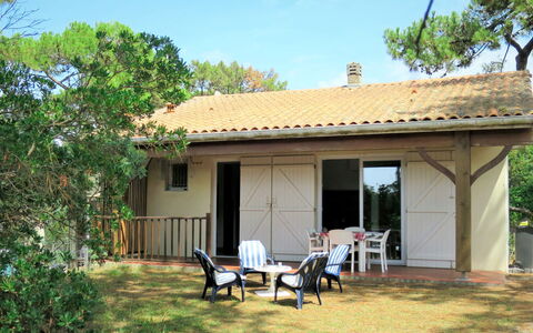 Anne Marie: Plant, Sky, Building, Property, Plant Community, Shade, Tree, Window, House, Land Lot