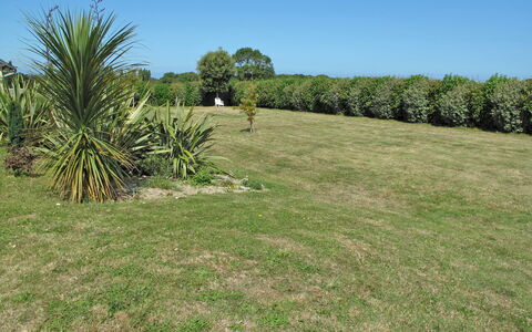 Les Quatrevais: Sky, Plant, Plant Community, Ecoregion, Tree, Natural Landscape, Land Lot, Terrestrial Plant, Arecales, Grassland