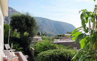 Les Siamois (Eze100)