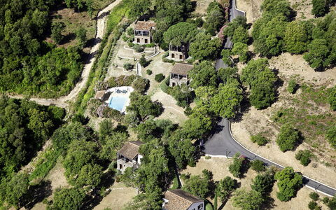 A Mandria: Plant, Property, Natural Landscape, Tree, Land Lot, Urban Design, Building, Residential Area, Rural Area, Landscape