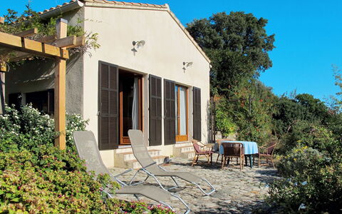 Svyntha: Property, House, Home, Residential Area, Real Estate, Building, Architecture, Rural Area, Cottage, Neighbourhood