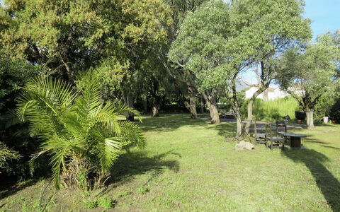 Les Chênes: Tree, Vegetation, Property, Natural Landscape, Grass, Land Lot, Nature Reserve, House, Real Estate, Plant