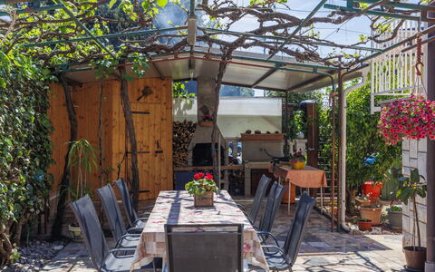 Elvi: Plant, Table, Chair, Shade, Flowerpot, Outdoor Furniture, Outdoor Table, Building, Real Estate, Leisure